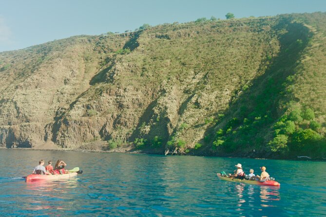 Midday Meander - Kealakekua Bay Kayak and Snorkel Adventure - Should you book the Midday Meander?