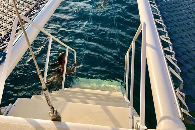 Moana’s Swim’n’Sail Cocktail Cruise Along the Waikiki Coast - Tips for a Smoother Afternoon