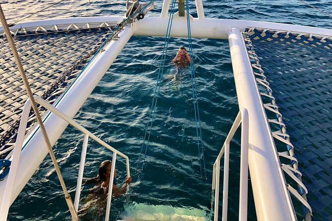 Moana’s Waikīkī Grand Guided Turtle Snorkel & Sailing Adventure - Getting ready for the water