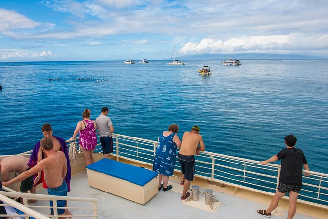 Molokini and Turtle Arches Snorkeling Trip from Ma'alaea Harbor - Wildlife beyond the reef
