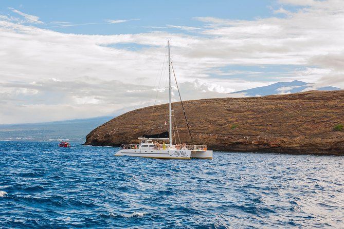 Molokini and Turtle Arches Snorkeling Trip from Ma'alaea Harbor - Who will enjoy this trip most