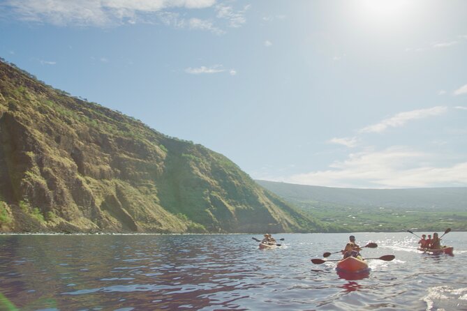 Morning Magic Kayak and Snorkel Adventure in Kealakekua Bay - Lunch from Coffee Shack