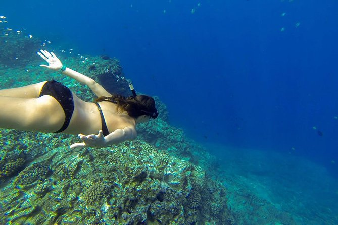 Ni'ihau and Na Pali Coast Snorkel Boat Tour - Is $361.31 a fair price?
