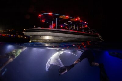 Night Manta Ray Experience