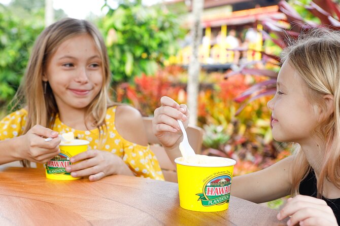 North Shore Haleiwa & Dole Plantation Tour - Why this North Shore day works well without a rental car