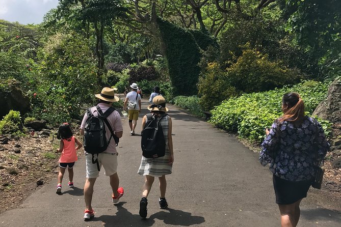 North Shore / Waimea, Falls Day & Swim with Turtles - A full North Shore day without the usual rush
