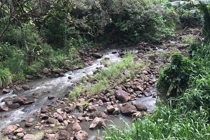 North Shore / Waimea, Falls Day & Swim with Turtles - Looking for sea turtles on the beach