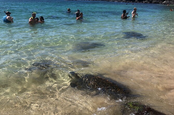 North Shore / Waimea, Falls Day & Swim with Turtles - What the $150 price really buys you