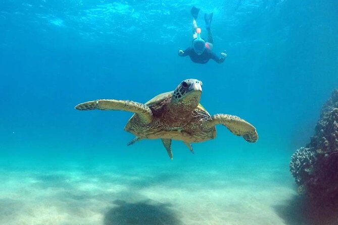 Oahu 5-in-1 Deluxe Cruise: Turtle Snorkeling & Ocean Activities - Kayaks and paddleboards close to the boat