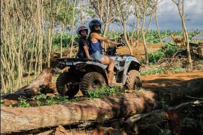 Oahu Beachfront ATV Adventure and Farm Tour - Kapukapuakea, Taputapuatea, and the cultural story