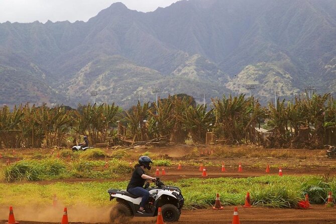 Oahu Beachfront ATV Adventure and Farm Tour - Meeting the goats, pigs, and cows