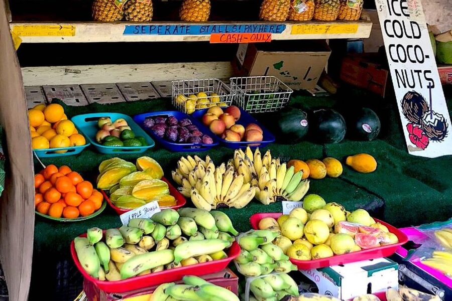 Oahu: Beauty and the Feast Circle Island Experience - What the $172 price really buys you