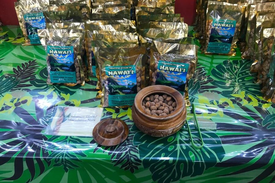 Oahu: Beauty and the Feast Circle Island Experience - Mountain views at Nuʻuanu Pali