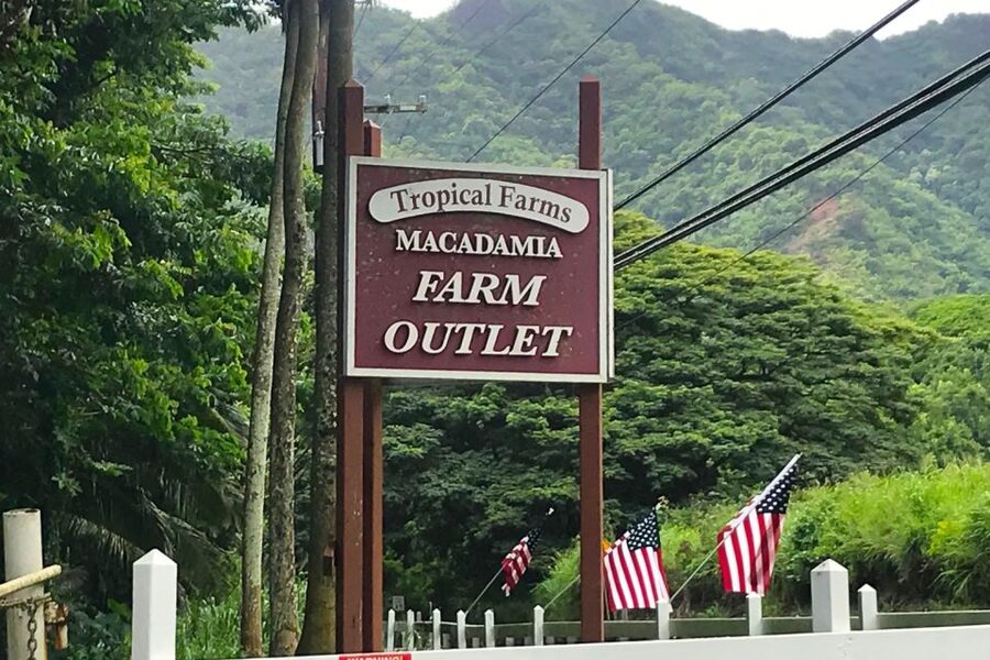 Oahu: Beauty and the Feast Circle Island Experience - Macadamia nuts and island farm flavors