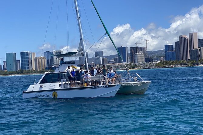 Oahu Catamaran Snorkel Tour: See Turtles 100% Guaranteed - The price: strong value at $49.95
