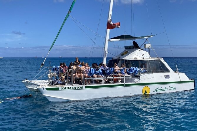 Oahu Catamaran Snorkel Tour: See Turtles 100% Guaranteed - Who should book this catamaran tour