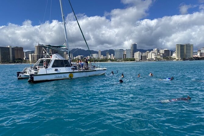 Oahu Catamaran Snorkel Tour: See Turtles 100% Guaranteed - What happens at the Turtle Canyon reef