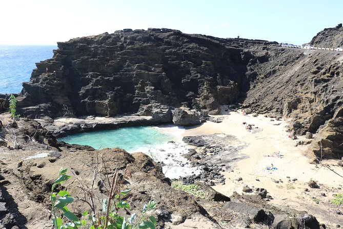 Oahu Circle Island Small Group Tour - Macadamia nuts, Kualoa, and Chinaman’s Hat