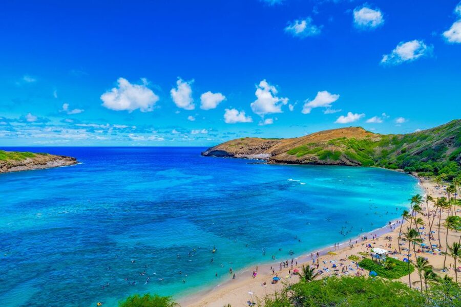 Oahu: Circle Island Top Sights Full-Day Tour w/ Local Guide - Key points to know before booking