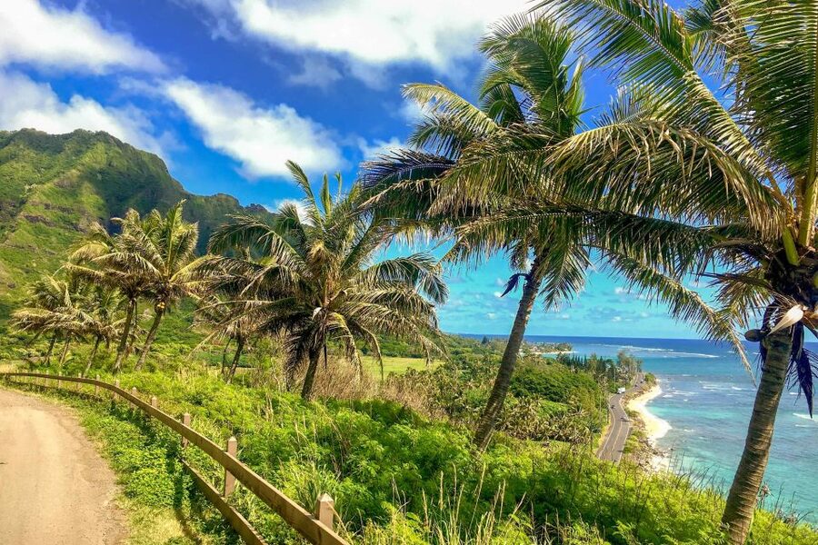 Oahu: Circle Island Top Sights Full-Day Tour w/ Local Guide - Dole Plantation is a short final stop