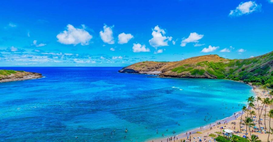 Oahu: Circle Island Top Sights Full-Day Tour w/ Local Guide - Starting in Waikiki and tracing the South Shore