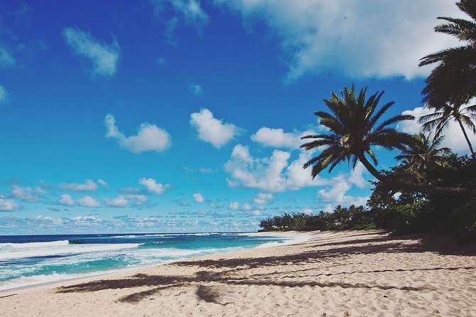 Oahu Circle Island Tour with Turtle Snorkeling— Small-Groups - Waikiki pickup and the first coastal views