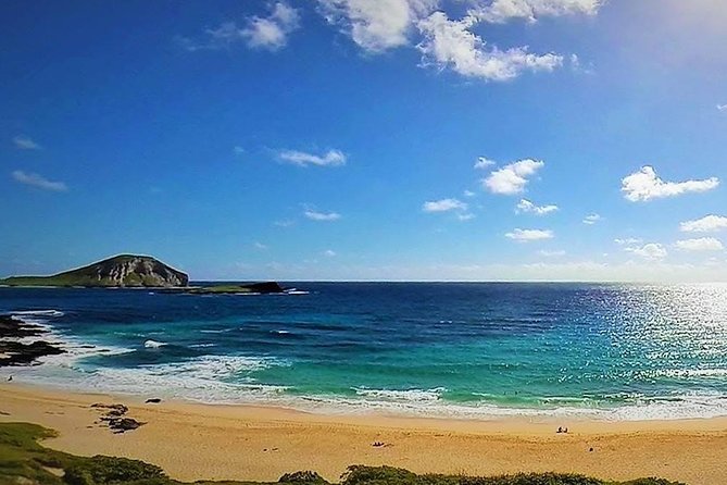 Oahu Circle Island Tour with Turtle Snorkeling— Small-Groups - Dole Plantation and the sweet finish