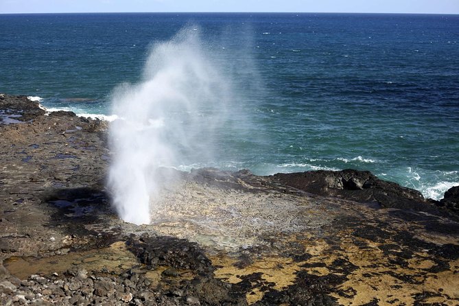 Oahu Circle Island Tour with Waimea Waterfall - Coffee, macadamia nuts, and Chinaman’s Hat