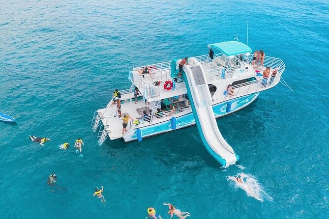 Oahu Dolphin and Snorkel Tour with Waikiki Pickup & Lunch - Key things to know before booking