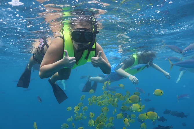 Oahu Dolphin and Snorkel Tour with Waikiki Pickup & Lunch - Why this west Oahu cruise works so well