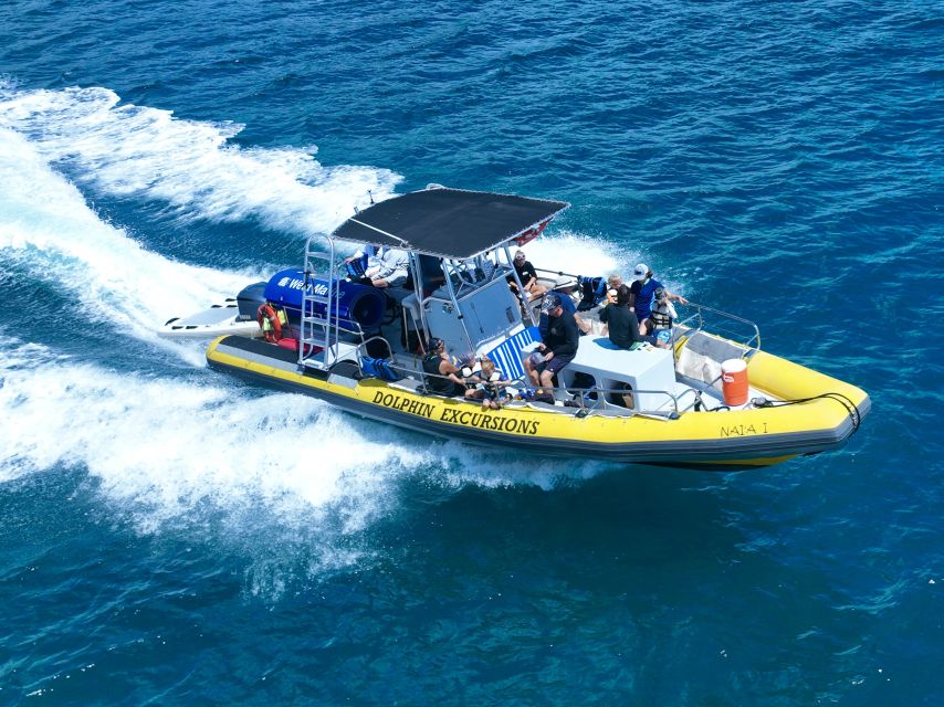 Oahu: Dolphin Swim and Turtle Snorkel Excursion in Waianae - What the 4.8 rating means in practical terms