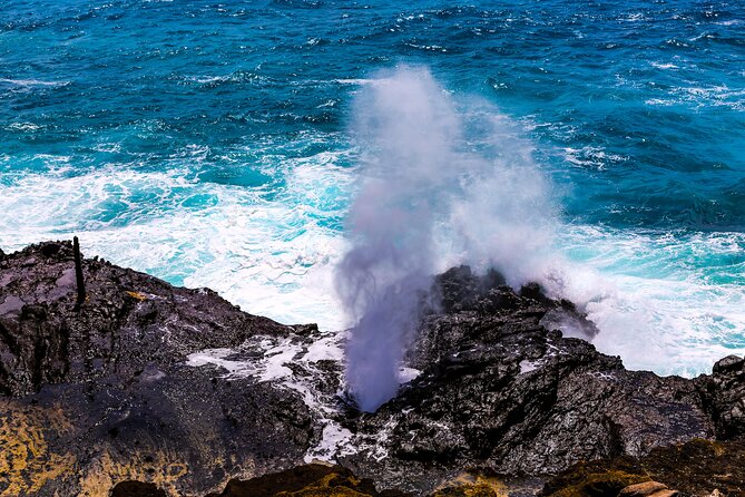 Oahu Grand Circle Island and Haleiwa Tour: 9-Hr Deluxe Experience - Tropical Farms adds a taste of Hawaii