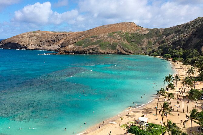 Oahu Grand Circle Island and Haleiwa Tour: 9-Hr Deluxe Experience - Dole Plantation: pineapple history and a sweet finish