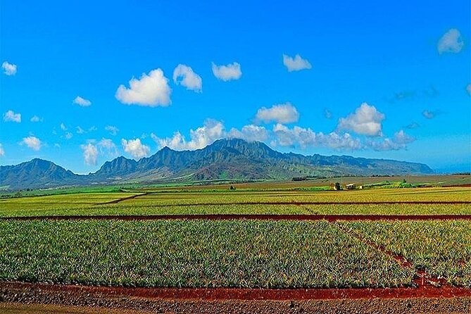 Oahu Grand Circle Island Experience from Waikiki - Puaʻena Point and the optional water hour