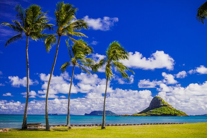 Oahu: Grand Tour Around Island 16 Locations plus Snorkeling - North Shore snorkeling and surf country