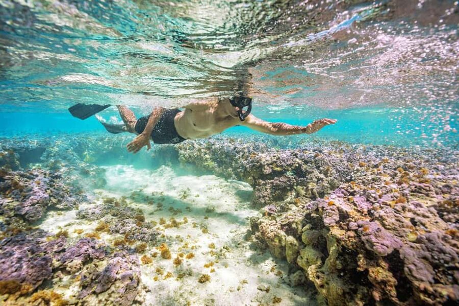 Oahu : Hanauma Bay Admission Ticket+Equipment Rental - Booking a time when Hanauma Bay fills quickly