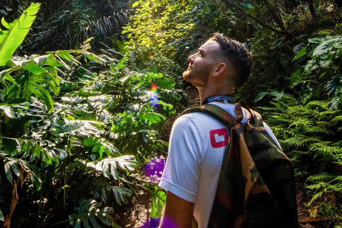 Oahu in a Day: Waterfall - Food Trucks - Lookouts - Small Crowds - Waimea Arboretum and Waterfall