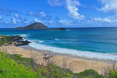Oahu Island Experience feat the North Shore (Small Group Tour)
