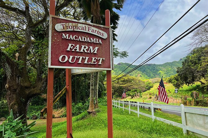 Oahu Island Experience feat the North Shore (Small Group Tour) - Sunset Beach and North Shore surf country