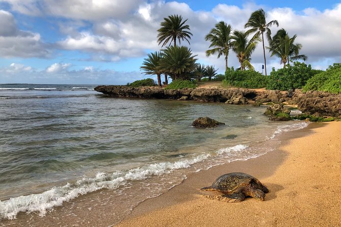 Oahu Island Photography Tour - North Shore surf and the midday break