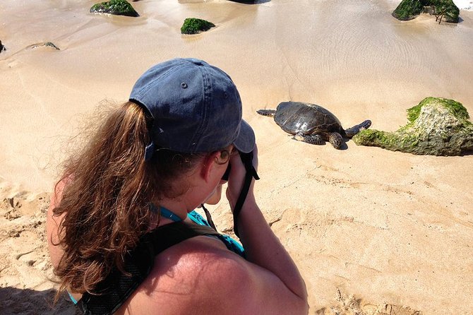 Oahu Island Photography Tour - What to bring for the eight-hour outing