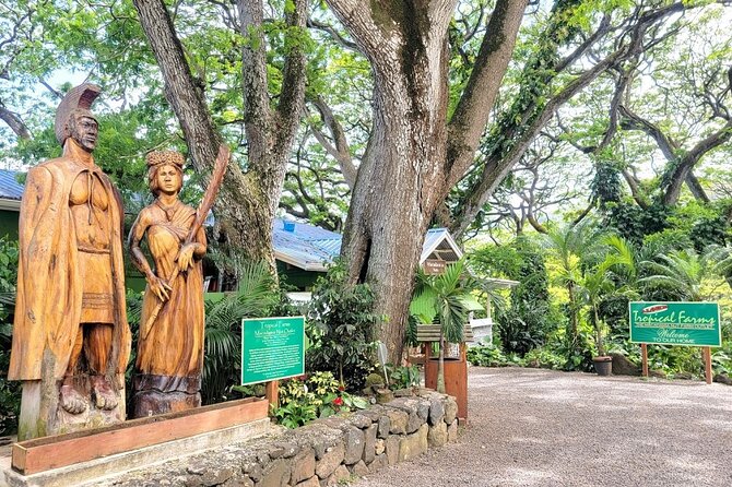 Oahu Island Sightseeing and Food Combo Tour - Key points to know before booking