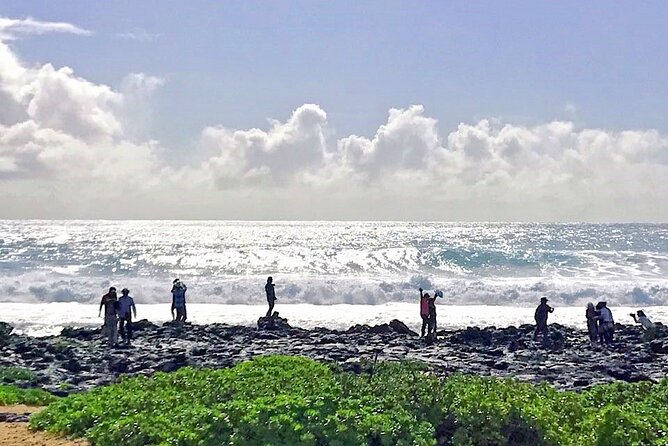 Oahu Island Sightseeing and Food Combo Tour - Pupukea and the North Shore coastline