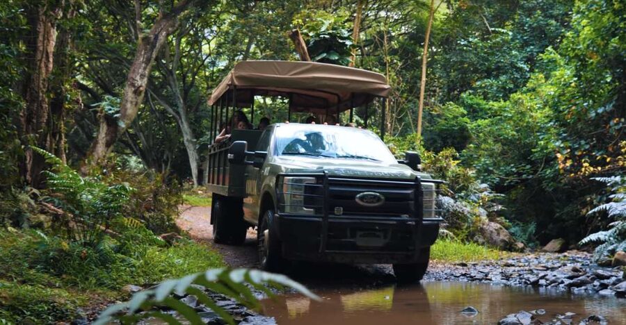 Oahu: Kualoa Open Air Jungle Expedition Tour - Key points to know before you book