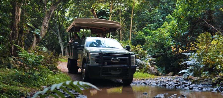Oahu: Kualoa Open Air Jungle Expedition Tour - What the guides add to the ride