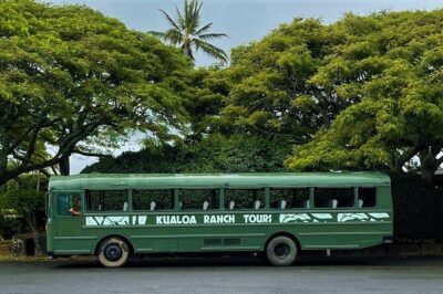 Kualoa Ranch Movie Sites and Ranch Tour