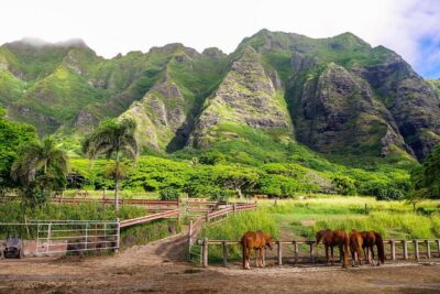 Kualoa Ranch UTV Raptor Tour
