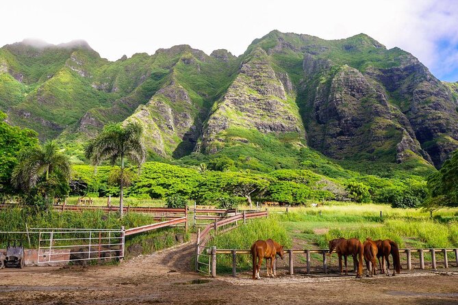 Oahu: Kualoa Ranch UTV Raptor Tour - Movie sites without expecting a full film tour