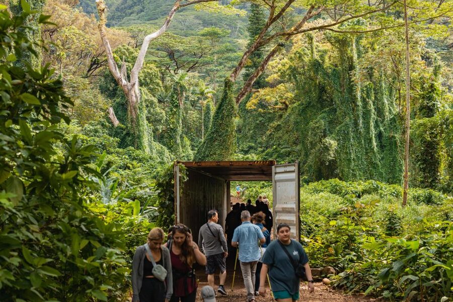 Oahu: Manoa Falls Waterfall Hike with Lunch and Transfers - Key points to know