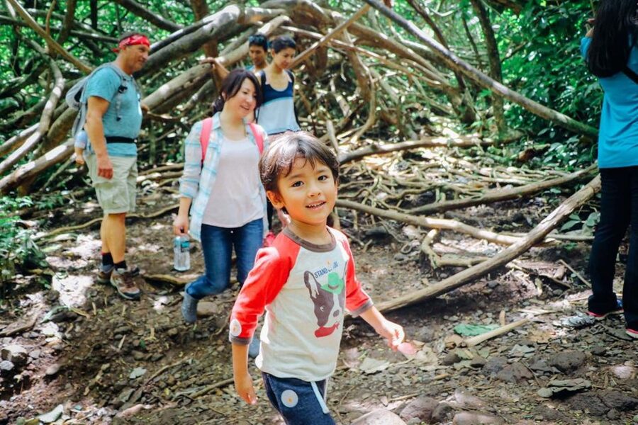 Oahu: Manoa Falls Waterfall Hike with Lunch and Transfers - Booking, timing, and cancellation